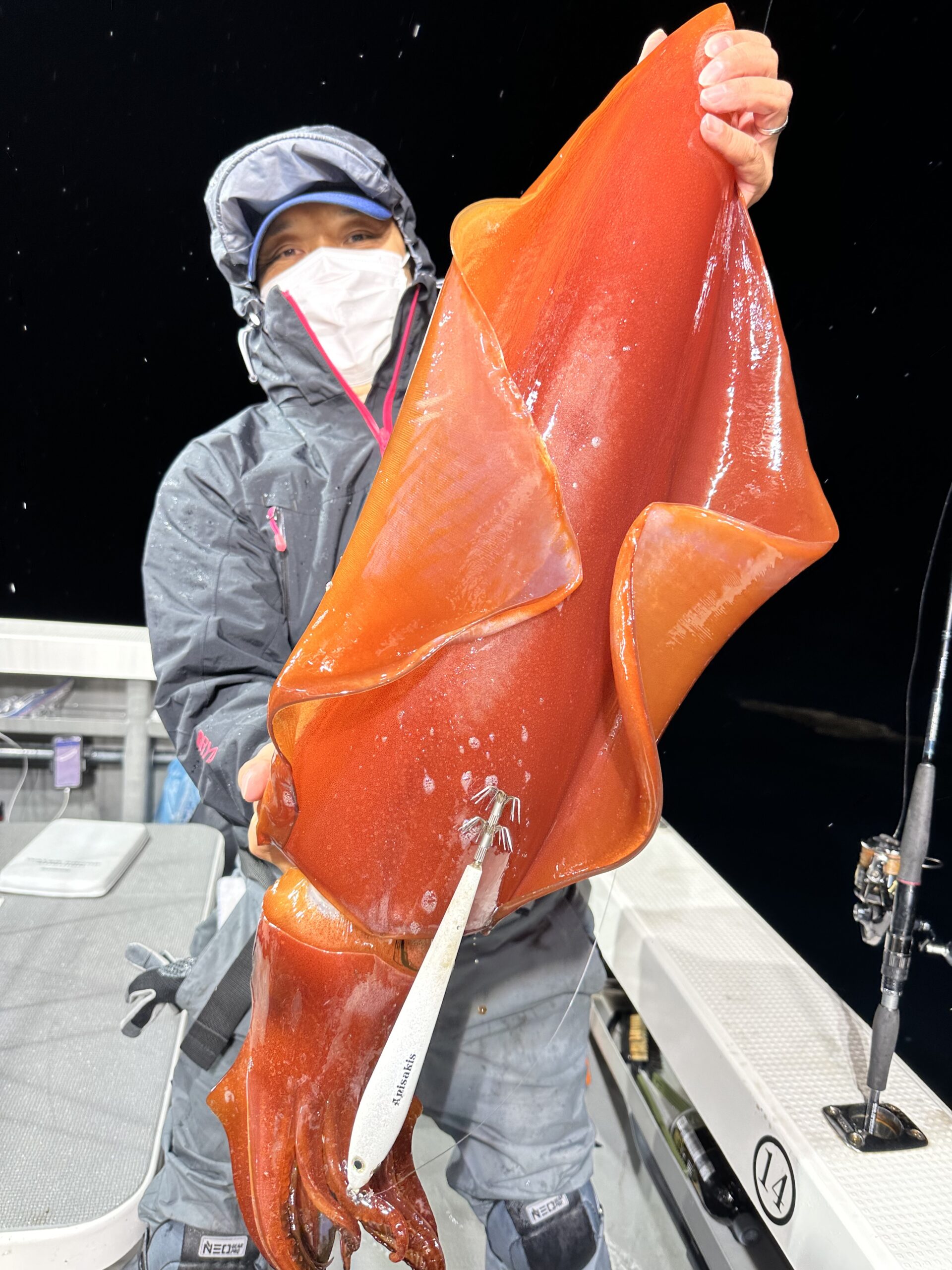 釣りの写真